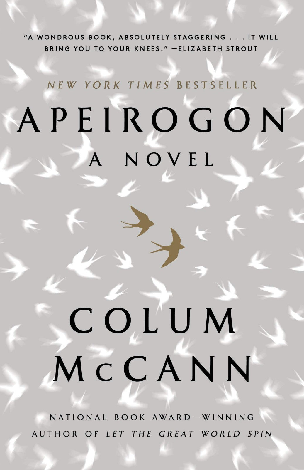 Apeirogon By Colum McCann