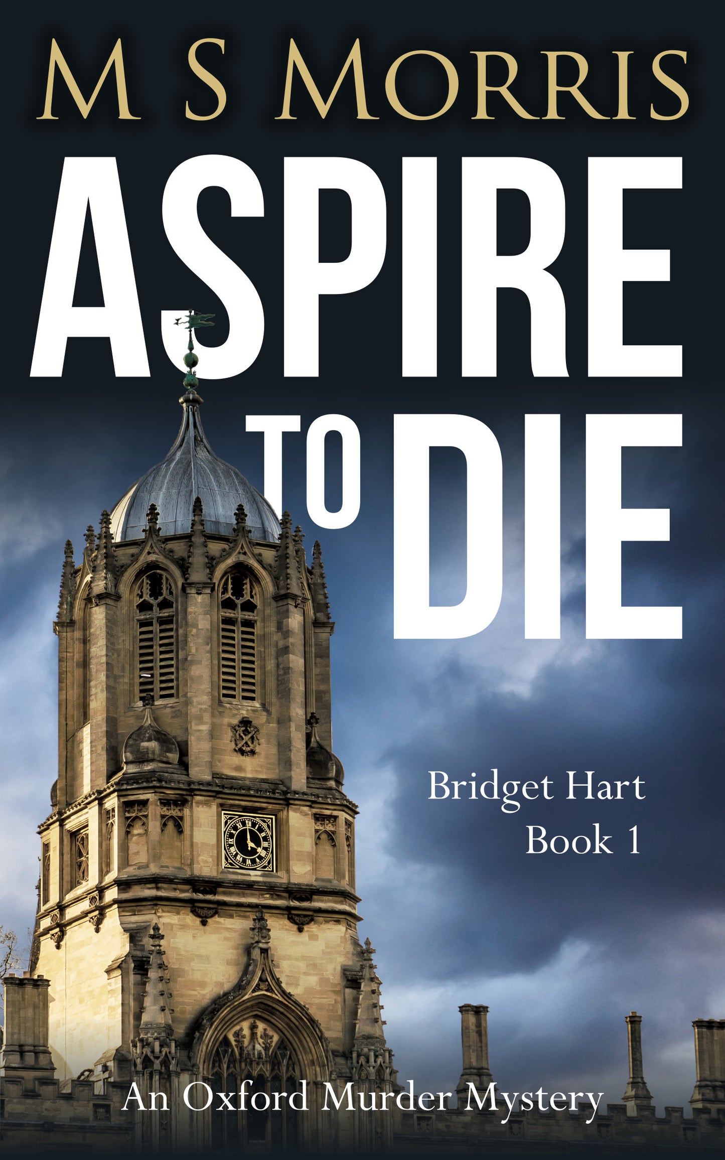 Aspire to Die  By M.S. Morris