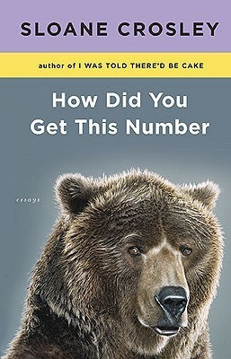 How Did You Get This Number: Essays  By Sloane Crosley